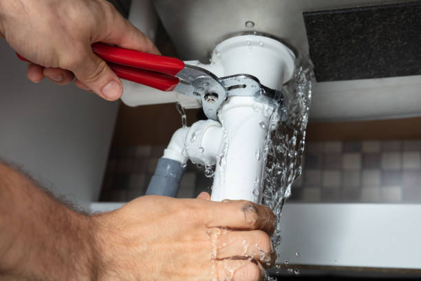 Best Flooded house restoration  in Keokea, HI