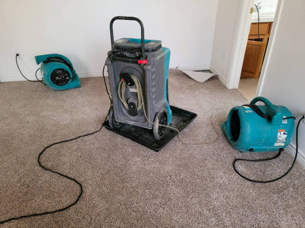 Professional Water damage restoration in HI