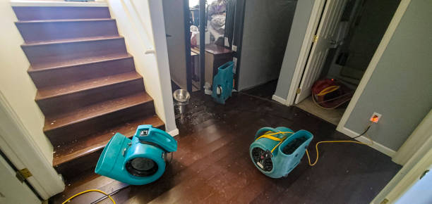 Best Carpet water damage restoration  in Keokea, HI