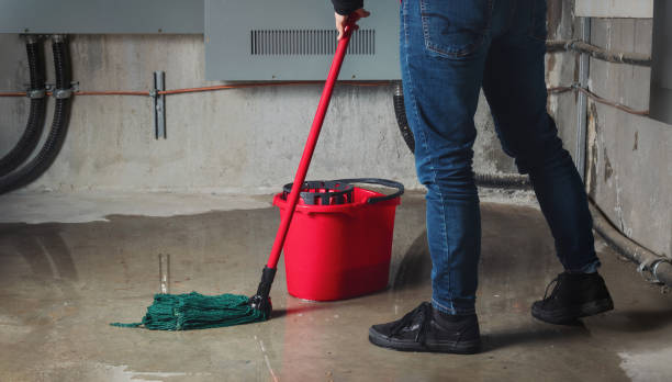 Best Professional water damage repair  in Keokea, HI