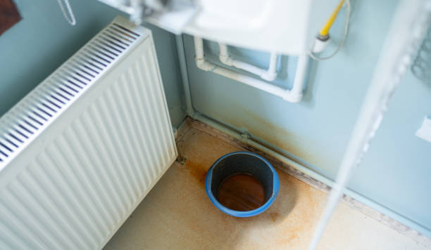 Best Emergency water damage restoration  in Keokea, HI