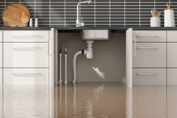 Best Ceiling water damage repair  in Keokea, HI