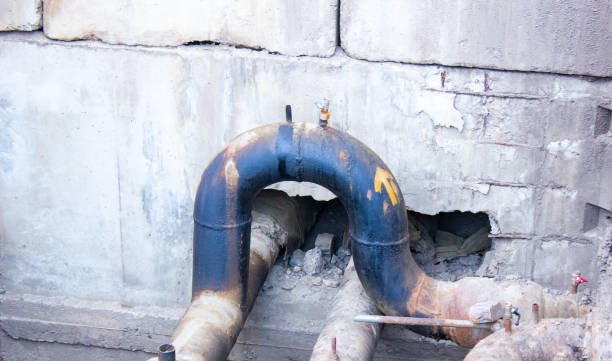Best Sewage cleanup and water damage restoration  in Keokea, HI