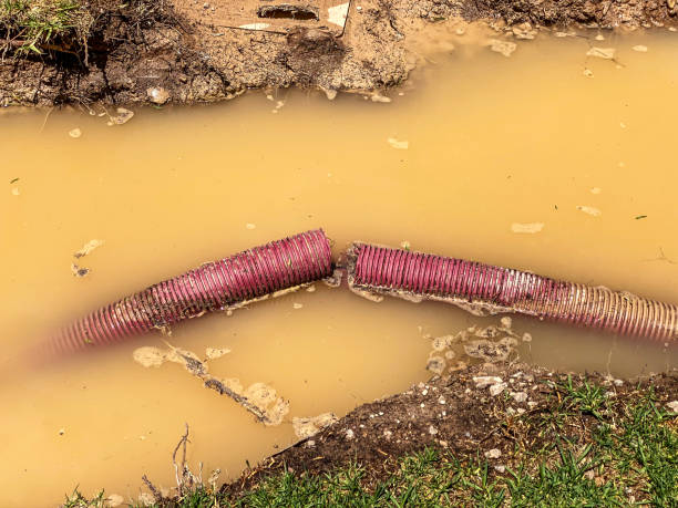 Best Water damage restoration near me  in Keokea, HI